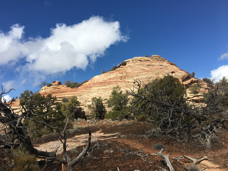 Natural Bridges National Monument